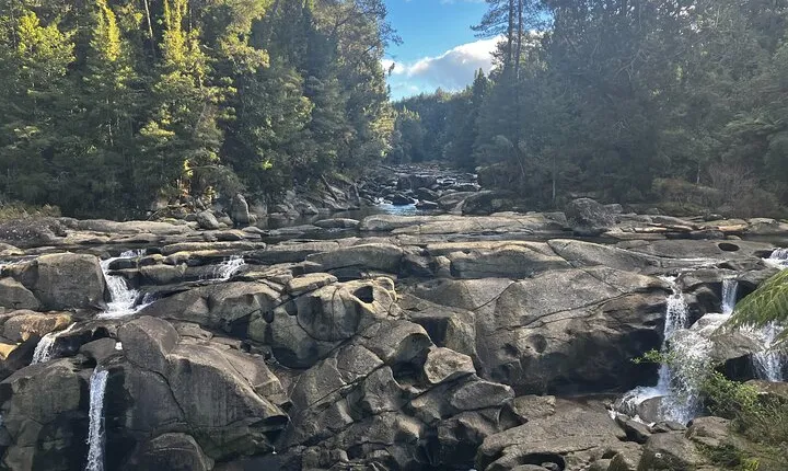 Scenic Short Hike Tour - Papamoa Hills and McLaren Falls