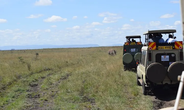 Half Day Tour in Nairobi National park