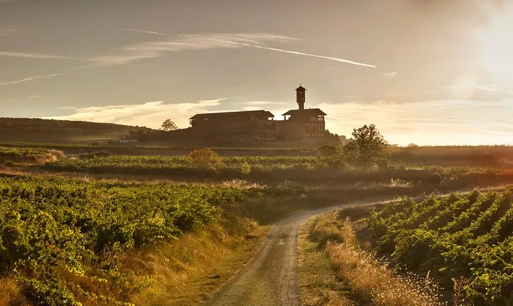 Rioja Wine Tour: 2 Wineries From Vitoria