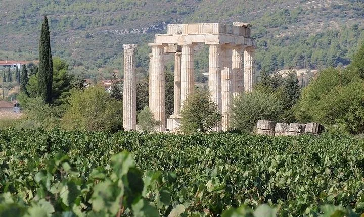 Nemea wine roads, The most famous wine tour in Greece