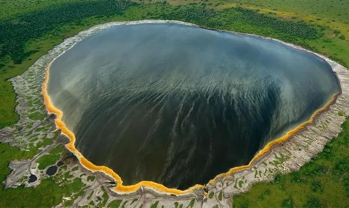 3-Day Queen Elizabeth safari