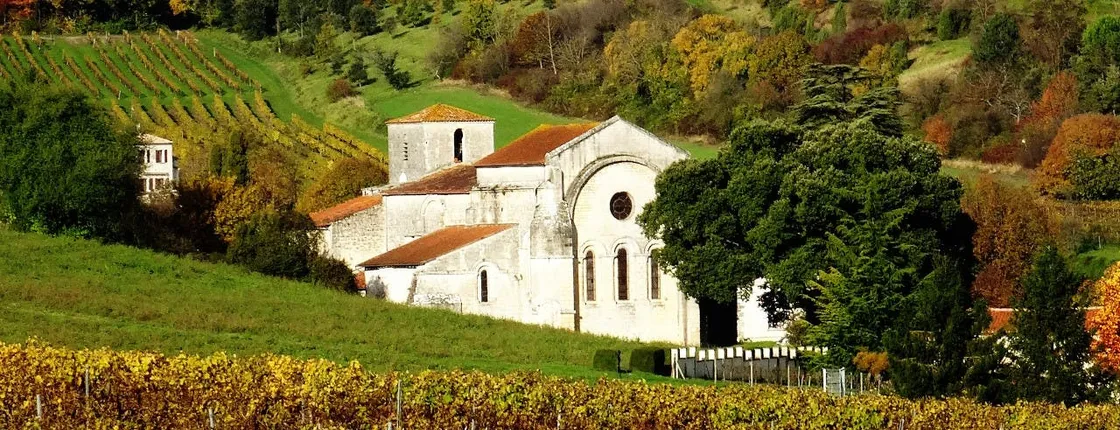 Cognac vineyards and distilleries half-day private tour from Charente