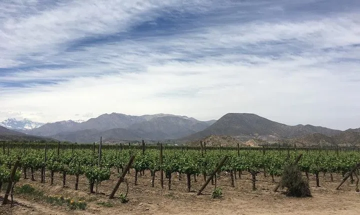 Aconcagua Valley