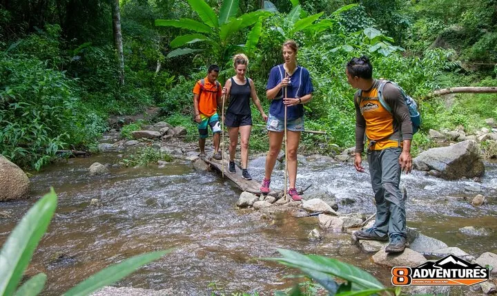 Trek to a Jungle Waterfall