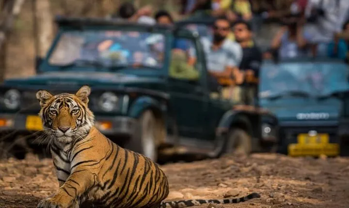 Golden Triangle & Ranthambore: 4-Day Private Tour from Delhi