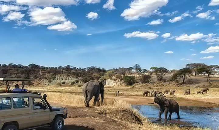 6-Day Best of Tanzania Lake Manyara, Serengeti, Ngorongoro & Tarangire - Comfort