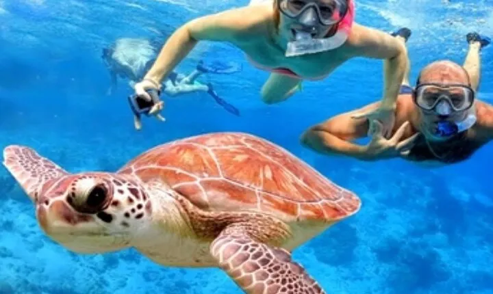 Blue Lagoon Snorkling activities