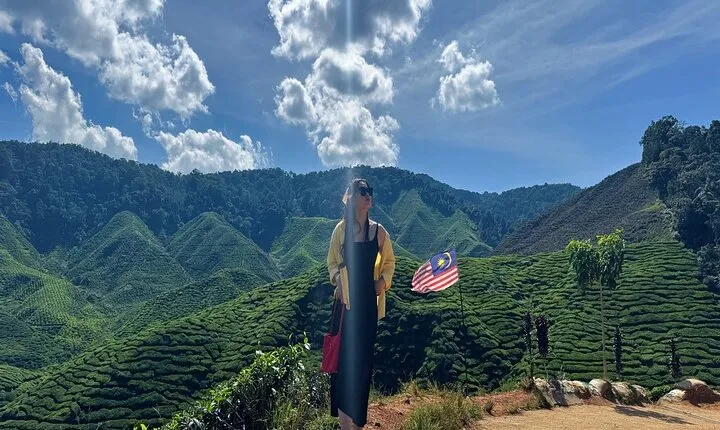 Cameron Highlands Day Tour from Kuala Lumpur with Lunch (SIC - Shared Tours)