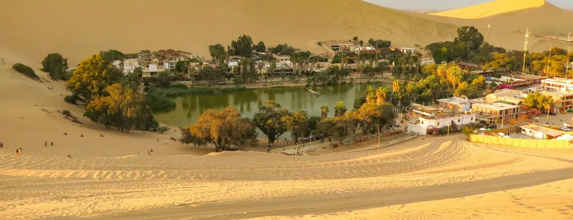 Ica city and region full-day guided tour from Lima