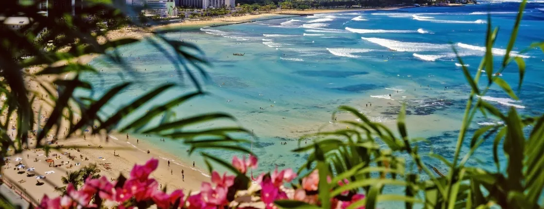Daytime Waikiki glass-bottom boat tour