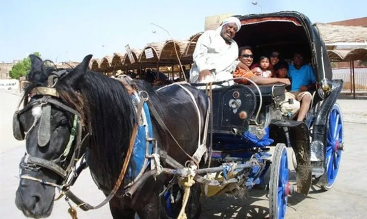 Aswan City tour on Horse Carriage