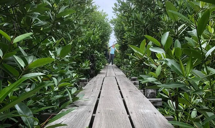 Kampot Countryside Tour - Pepper Farm, Salt Lake, Caves, and more