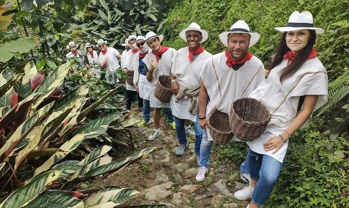Half-day Colombian Cafe tours from Medellin