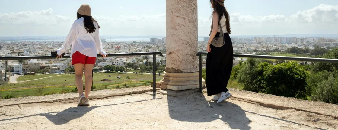 Ancient Carthage, Sidi Bou Said and Bardo Museum tour with lunch