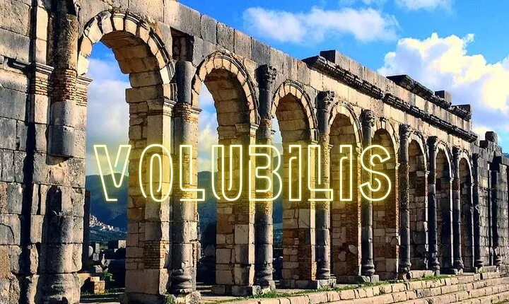 Day trip from Fes to Volubilis Moulay Idriss & Meknes