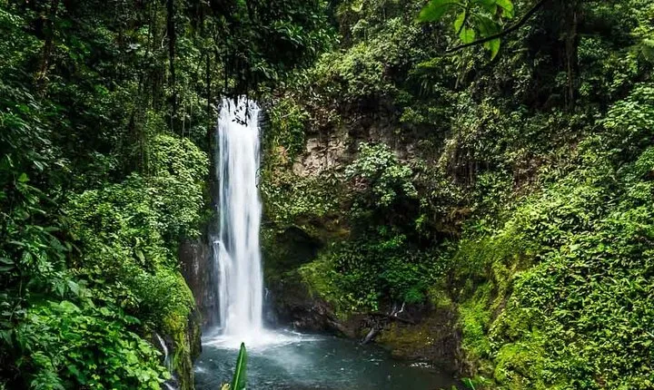La Paz Waterfall Gardens Nature Park Full-Day Tour