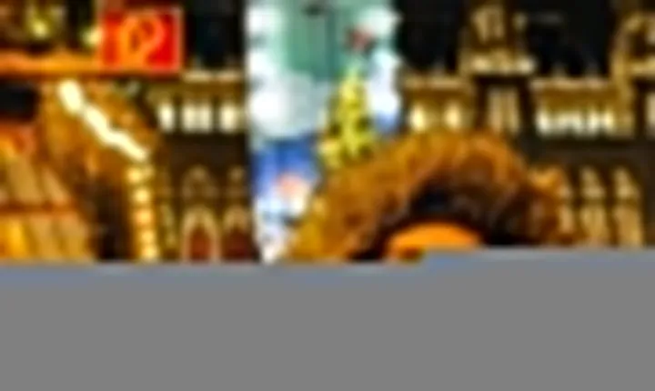 Vienna Christmas Market Private Walking Tour with Local Guide