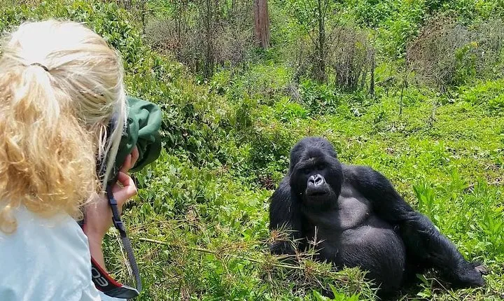 1-Day Rwanda Gorilla Tour