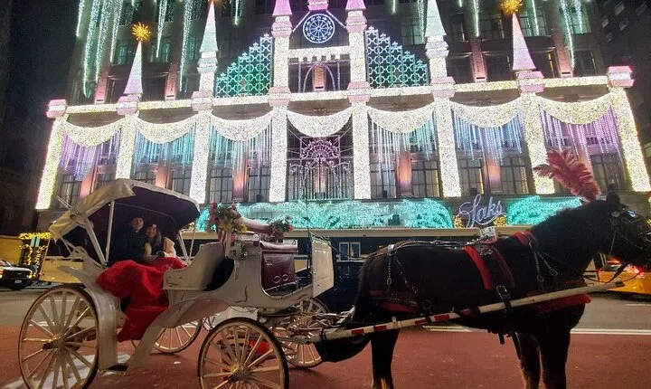 New York City Christmas Lights Private Horse Carriage Ride