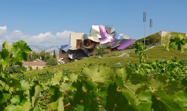 Rioja Wine Tour: 2 Wineries From Pamplona