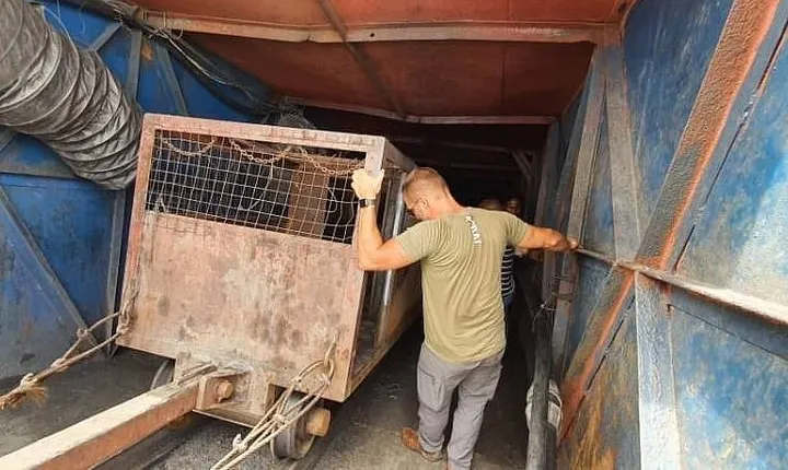 Tanzanite Gemstone mining experience at Mererani mines Day Tour