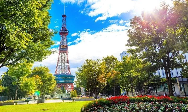 Sapporo 6hr Private Tour with Government Licensed Guide