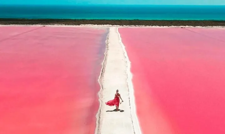 Las Coloradas and Río Lagartos Excursion from Playa del Carmen