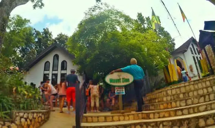 Bob Marley Mausoleum + Childhood Home and Dunns River Falls