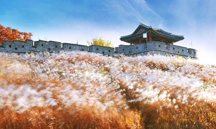 Day Trip to UNESCO: Suwon Fortress Adventure from Seoul