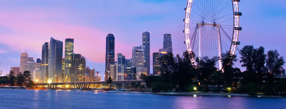 Singapore Flyer observation wheel and Time Capsule entry tickets