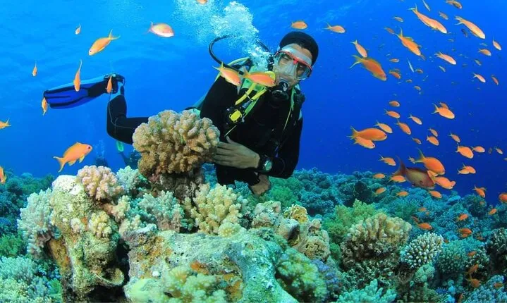 Snorkeling at Ras Mohamed in Sharm El Sheikh