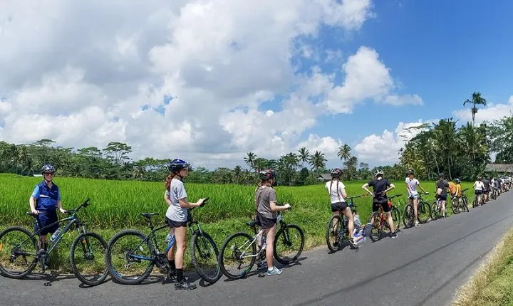 Morning Best Bali Cycling Kintamani Tour