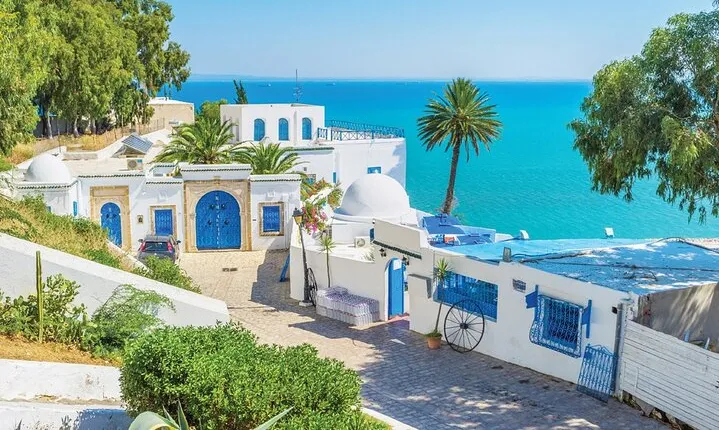 Private tour: Medina,Carthage ,Sidi Bou Said, Bardo Museum+lunch