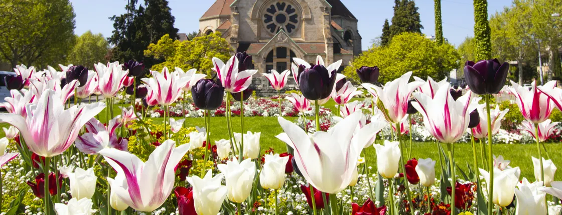 Exclusive private guided tour through the architecture of Basel with a local