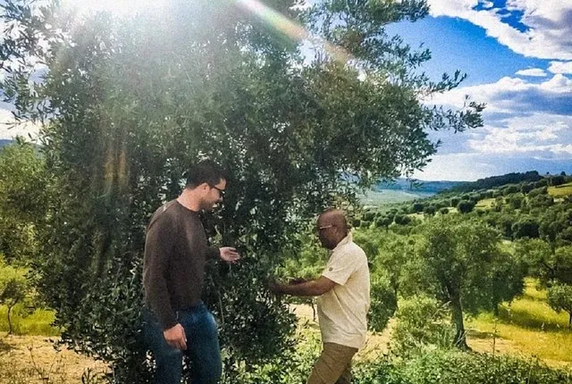 Discovering extra virgin olive oil