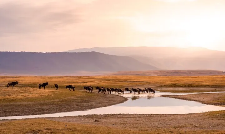 9 Days Private Mid-Range Safari Tour from Arusha