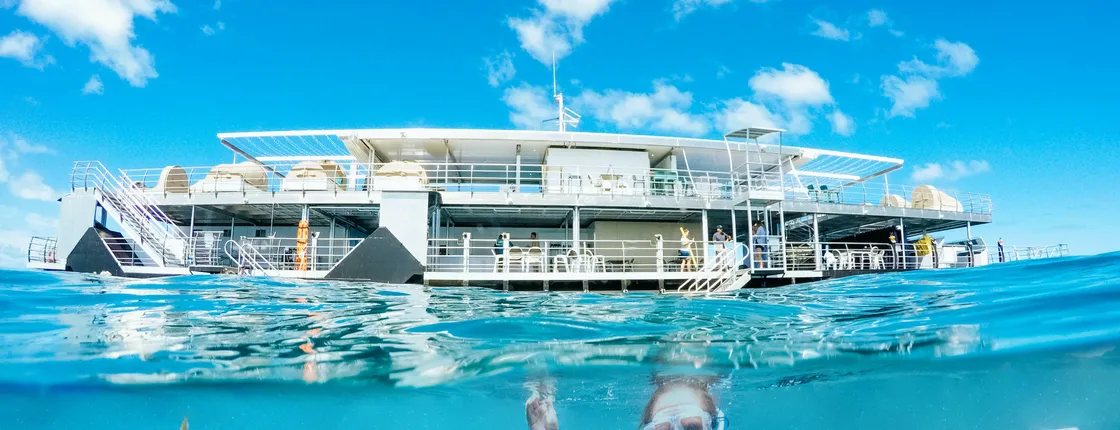 Great Barrier Reef adventure