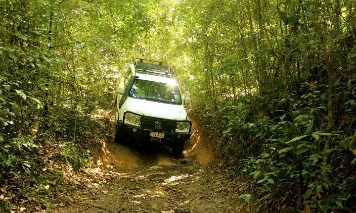 Barron Gorge and Kuranda National Park Half Day Rainforest and Waterfall 4WD Tour from Cairns