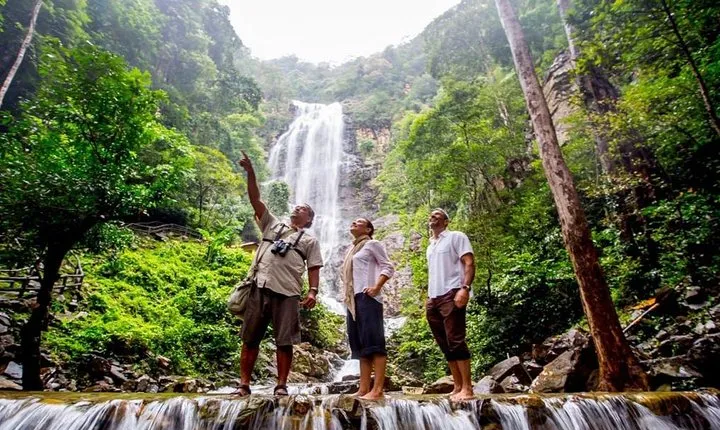 Langkawi Rainforest Jungle Trekking Tour with Private Pickup