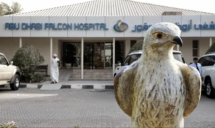Private Trip to Abu Dhabi Mosque and Falcon Hospital