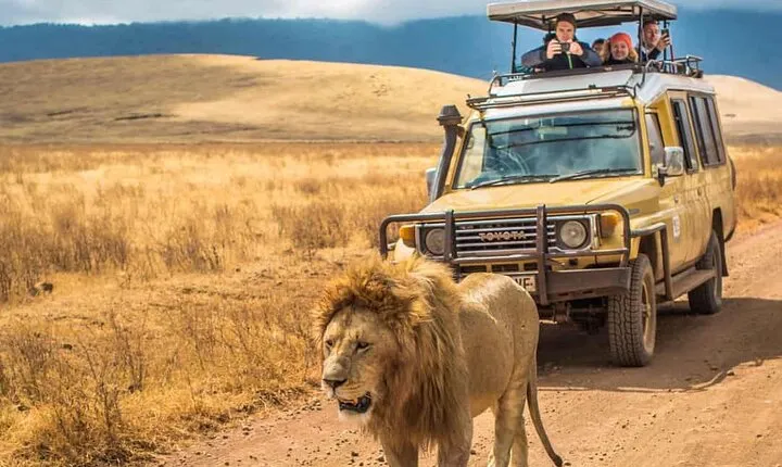 4 Days Group Joining Camping Tanzania safari