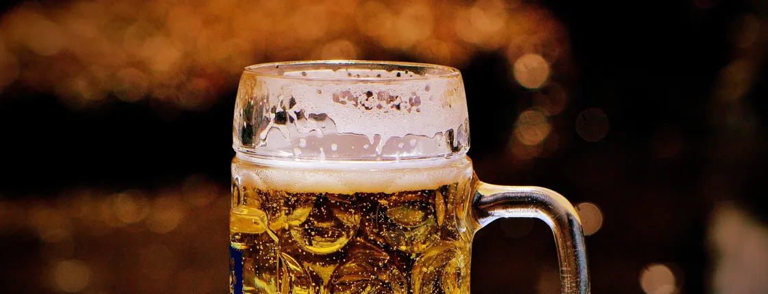 Private polish beer tasting tour in Warsaw