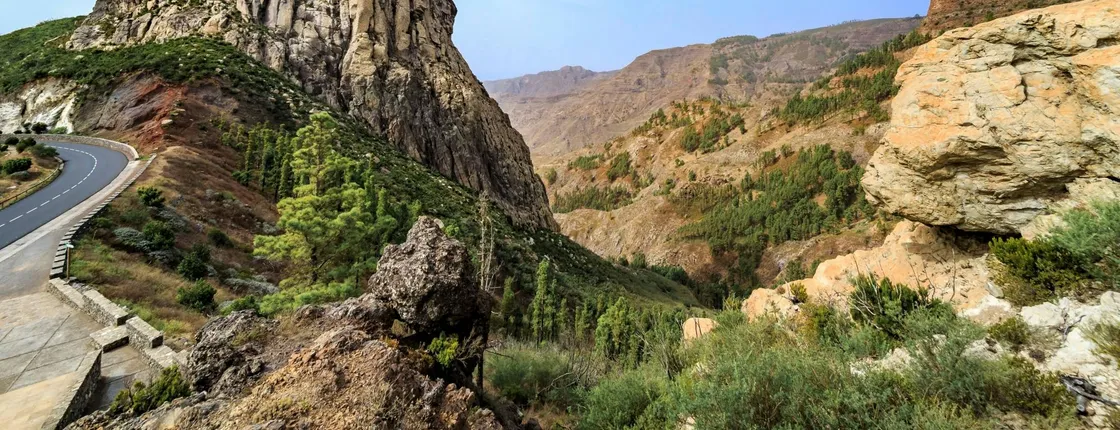 La Gomera Tour from Tenerife with Lunch