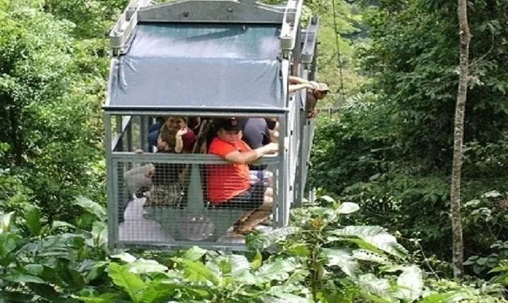 Veragua Rainforest