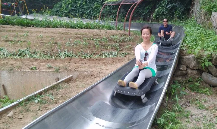 Mutianyu Great Wall Toboggan Private Trip English Speaking Driver