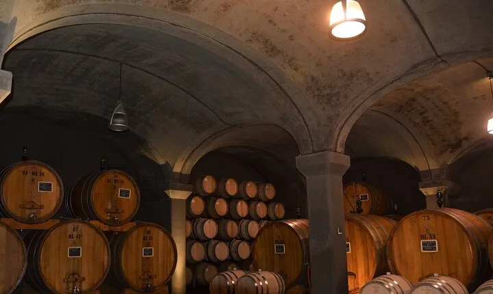 Exclusive Brunello di Montalcino tour from Florence