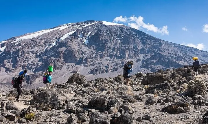 Experience Kilimanjaro One Day Trek Tour in Lemosho Route