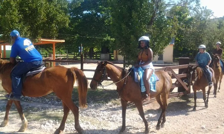 Horseback Ride Ziplining and Dunn's River Falls Adventure from Montego Bay,