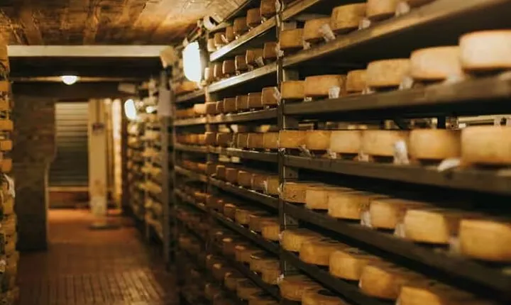 Cheese Experience: Tour & Tasting at Guffanti near Lake Maggiore