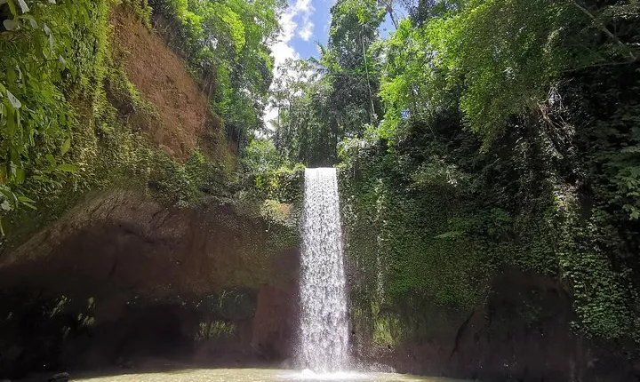 Ubud Village, Tegalalang Rice Terrace Swing, Tirta Empul Temple and Waterfafall
